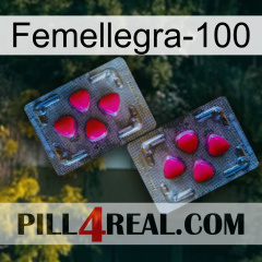 Femalegra-100 15